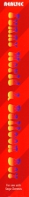 Side / SpinCard